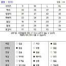 미즈미 네이버블로그