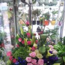 수연플라워 이미지