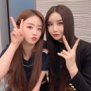 하리수 카카오 검색결과