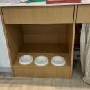 강릉스테이이플 | [애견동반 강릉여행] 네스테이 with 가족&amp; 강아지 2마리