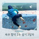 1110 | [제주함덕2주살기] 아이랑 뚜벅이 여행 2일차 (함덕1110,함덕해수욕장,낚고락고,무거버거등 일정정보)