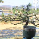 춘천유정펜션 이미지