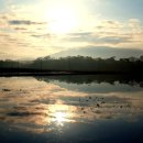 향촌농장 이미지