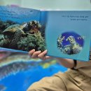 6/10🐢푸른-바다거북이야기 이미지