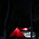 트리캠핑장 이미지