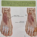 하늘스포츠재활센터 이미지