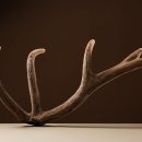 설담한의원 이미지