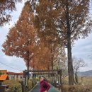 신정호수공원-11 이미지