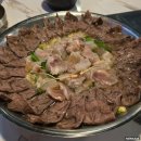 나비야모텔 | [콘서트] 2025 하동균 단독 콘서트 〈SEAM : 시음〉 막콘 후기│명화라이브홀