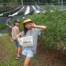 세한농원 이미지