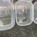 엄지크리닝 이미지