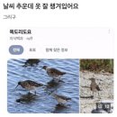 칠우불고기 | [광주 동구 맛집] 대패삼겹살 맛집 추천 | 대인동 &#39;칠우불고기&#39; 솔직 후기