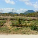 조은정원농장 이미지