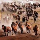 국가대패 수택점 | 중국북방의 유목민족들의 2천년간의 변천과 흥망사