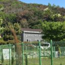 부산 경남 창원 애견훈련소 반려견학교 강아지호텔링 - 밀양 파트라슈 반려견학교 / 호텔링 후기