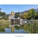 대한민국재향군인회종합사업본부 | 四字成語 총정리 <ㄷ> 245 대한독립단~대한석탄공사