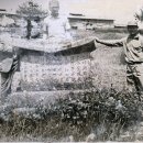 취병 조형 유허비 이미지