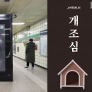 양지애드 이미지