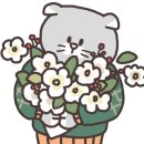 둥지세차장 이미지