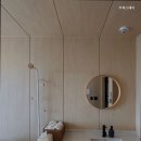 스테이 수