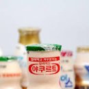 야쿠르트 Daum카페