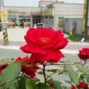 주포초등학교 이미지