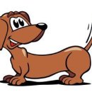 광양동물메디컬센터 이미지