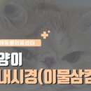 24시 리본동물영상센터 이미지