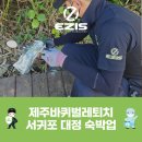 대정방역