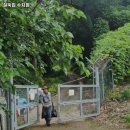 228-1-000022 | 용인시 수지구 풍덕천동 고기집 철뚝집 수지점 리뷰추천메뉴가격주차영업시간