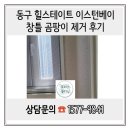 힐스테이트명품크리닝 | 울산 창틀 곰팡이 제거 청소업체 후기