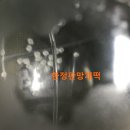 (주)아미락 이미지