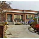 살구나무집민박 이미지