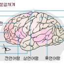 6 ■ 하나님께서 말씀하시는 '하나님'과 '사람(아담)' 이미지