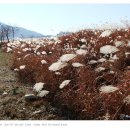 강변자전거길 2 이미지