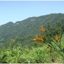 순천-17호 이미지