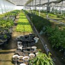 워낭농장 이미지