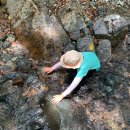 [샘물] 드디어 모인 샘물네 독수리 오형제! 이제 다섯배, 아니 여섯배로 재밌지~~^^ 이미지