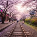 공설운동장삼거리 교차로 | 2026년 진해군항제주차장주소 경화역 개화상황 개막식 프로그램행사 총정리