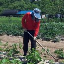 주헌농장 이미지