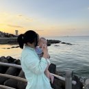 씨유운서스카이점 | 4개월 아기와 함께 한 강릉여행 2박3일 (스카이베이 강릉 호텔, 경포아쿠아리움, 강릉 솔향수목원 등등)