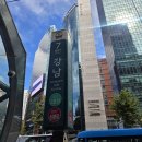원명초등학교 | [부동산 임장] 누구나 갖고싶은 서초구 아파트(feat.서초그랑자이,삼풍아파트,디에이치반포라클라스)