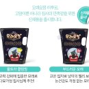 마옹디자인 이미지
