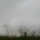 찐빵목장 이미지