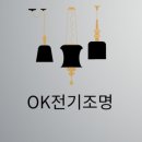 일성전기조명