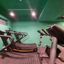 테라피티 이미지