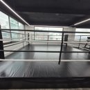 포커스 복싱짐 이미지