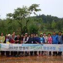 그린컨설턴트
