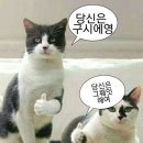 아르마리오 이미지