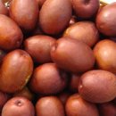 대추농장 이미지